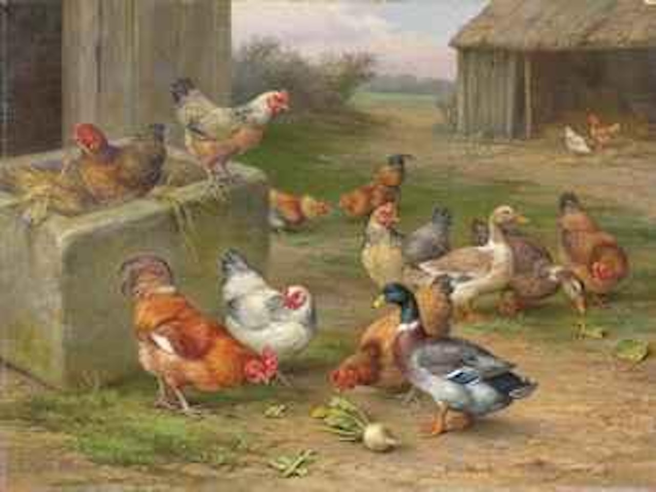 Chickens, ducks and a mallard in a farmyard by Edgar Hunt