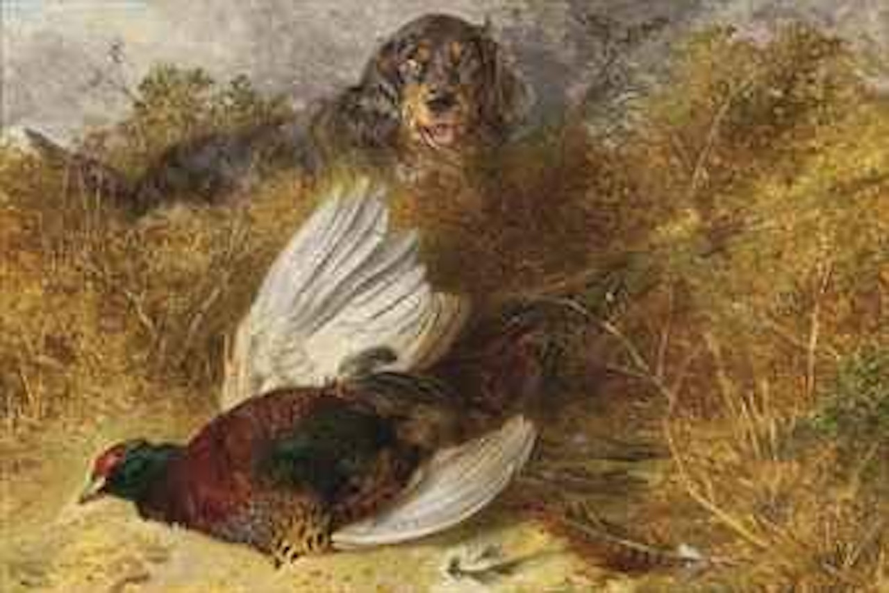 Gordon setter and pheasant by Richard Ansdell