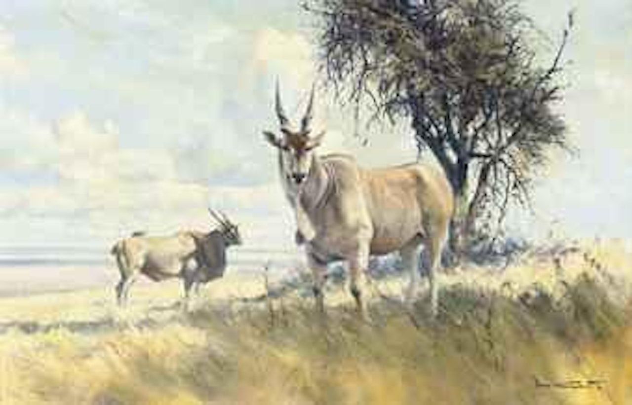 Giant Elland by Donald Grant