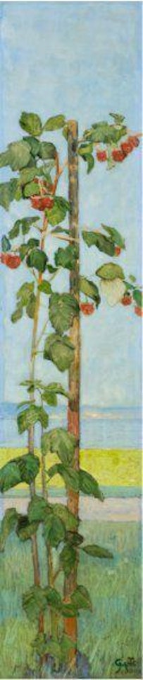 Bringebærbusk by Gerhard Arij Ludwig Morgenstjerne Munthe