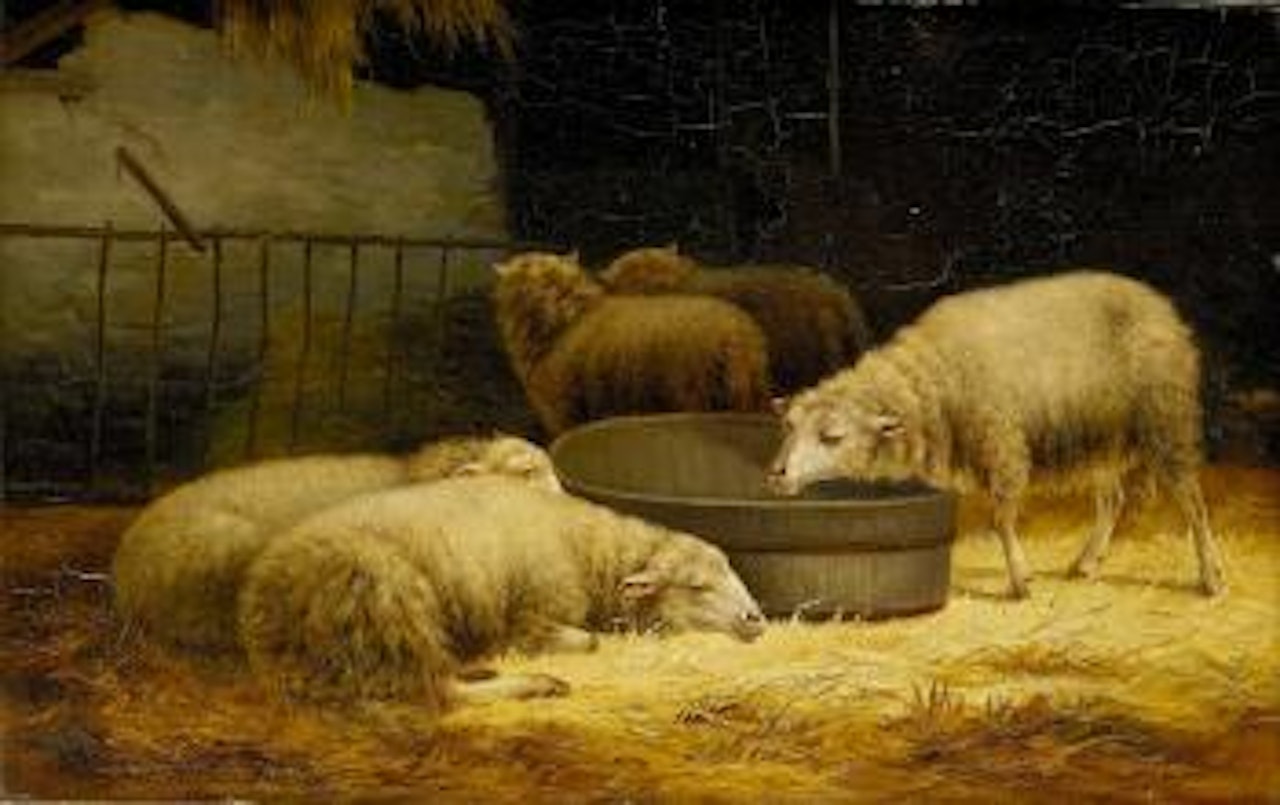 Interiör med får by Eugène Joseph Verboeckhoven