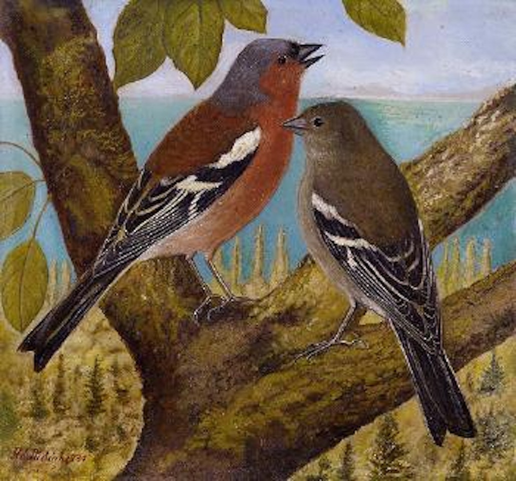 Buchfinkenpaar by Adolf Dietrich