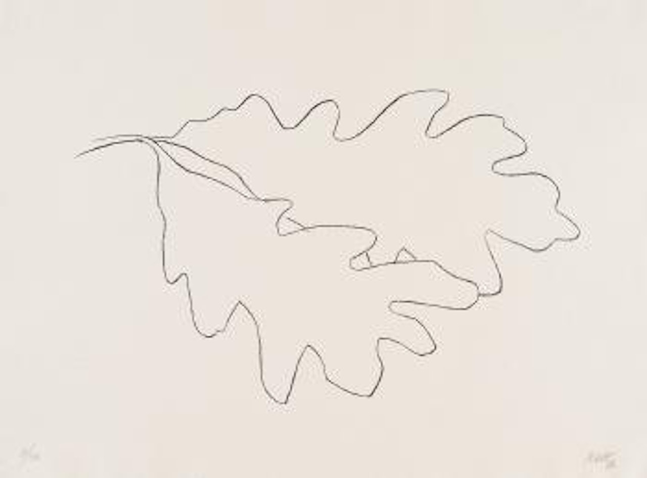 Two oak leaves by Ellsworth Kelly