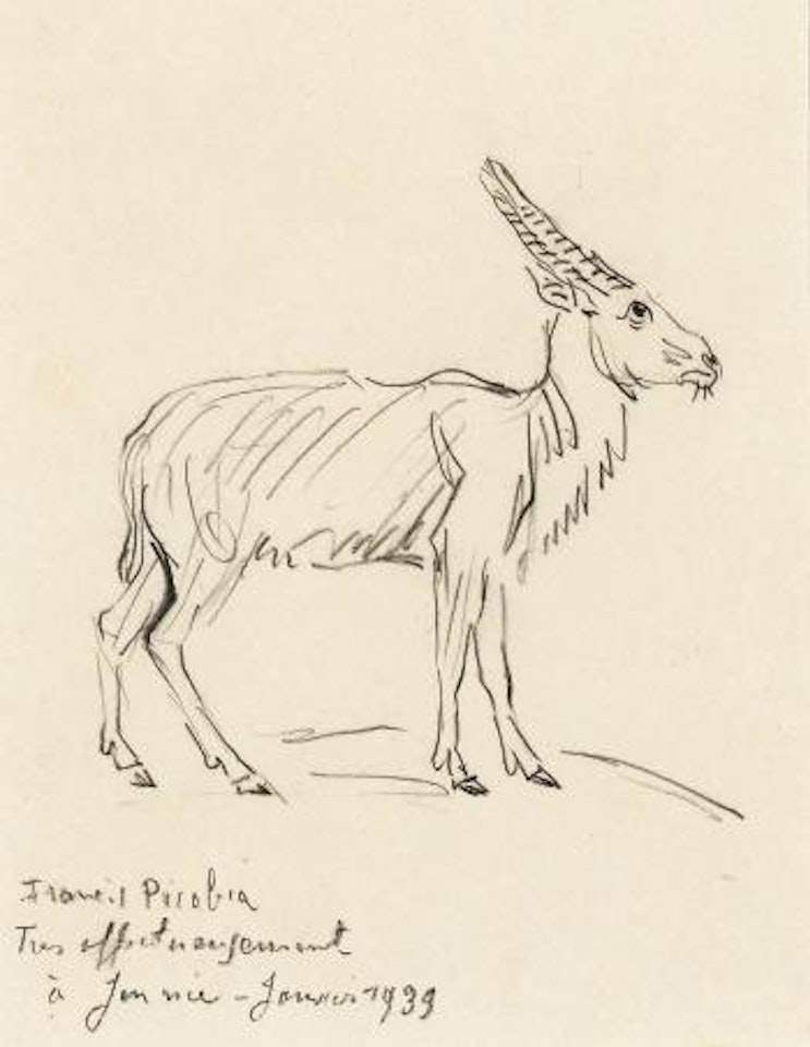 Gazelle by Francis Picabia
