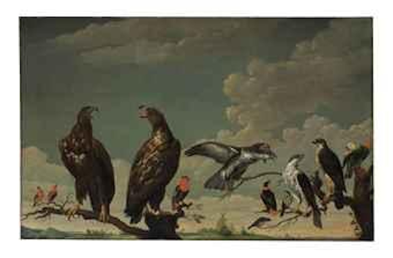 A concert of birds by Paul de Vos
