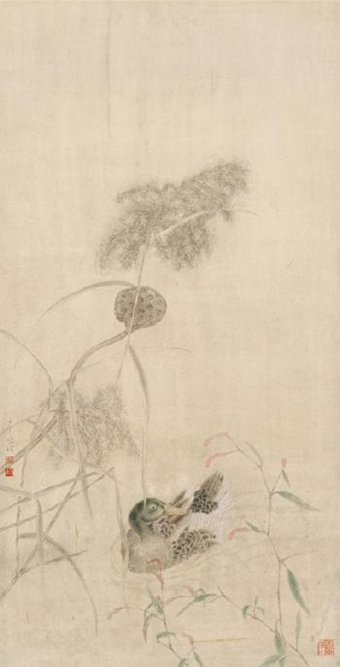 Duck in pond by Jiang Hongwei
