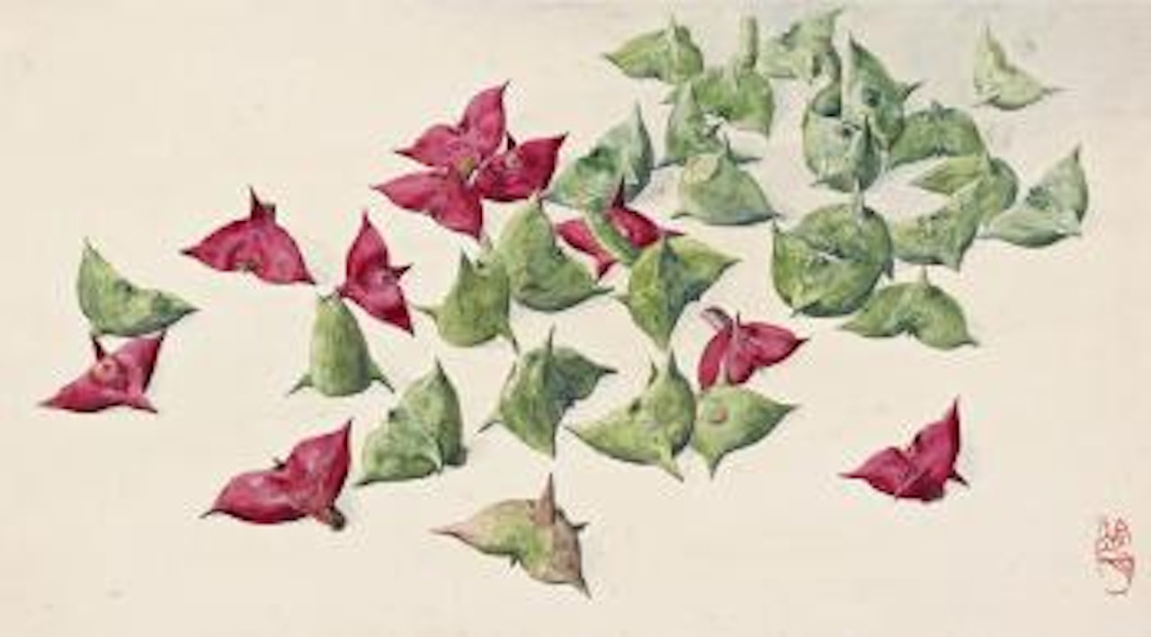 Water chestnuts by Lengyue Tao