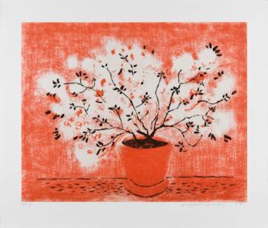 Red wire plant by David Hockney