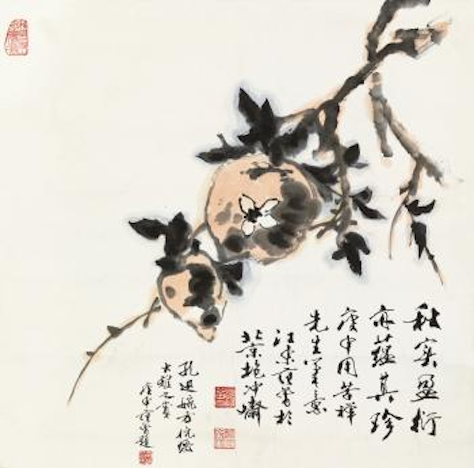 Pomegranate Plant by Fan Zeng