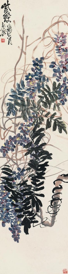 Wisteria Plant by Wu Changshuo