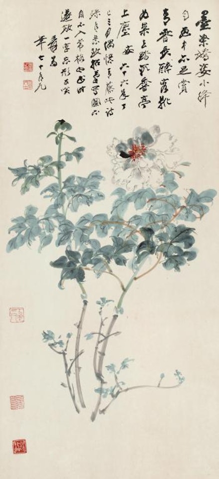Peony by Zhang Daqian