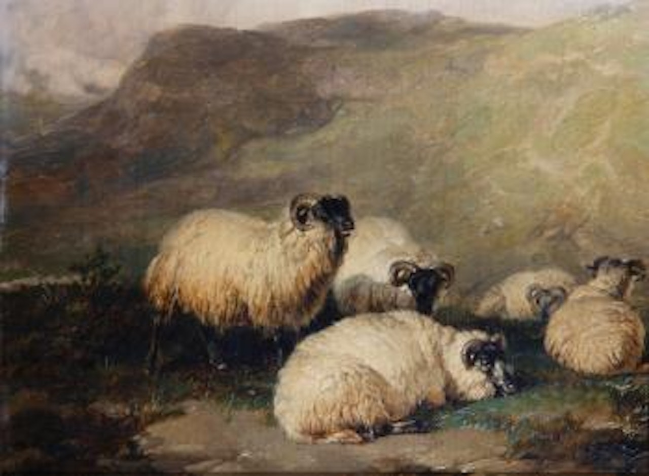 Sheep in the highlands by Thomas Sidney Cooper