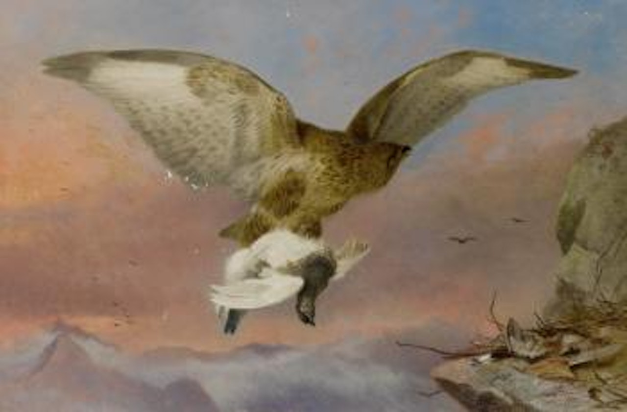 Buzzard with Ptarmigan by Richard Ansdell