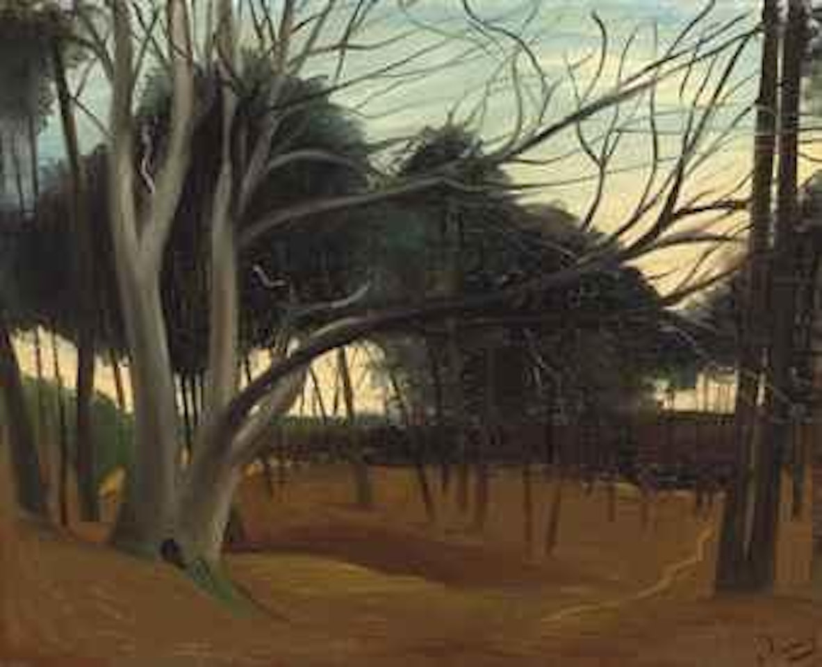 Sous-bois aux Lecques by Andre Derain
