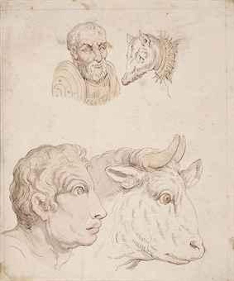 Studies of the heads of a bull, a male warrior, a male figure and a dog by Thomas Rowlandson