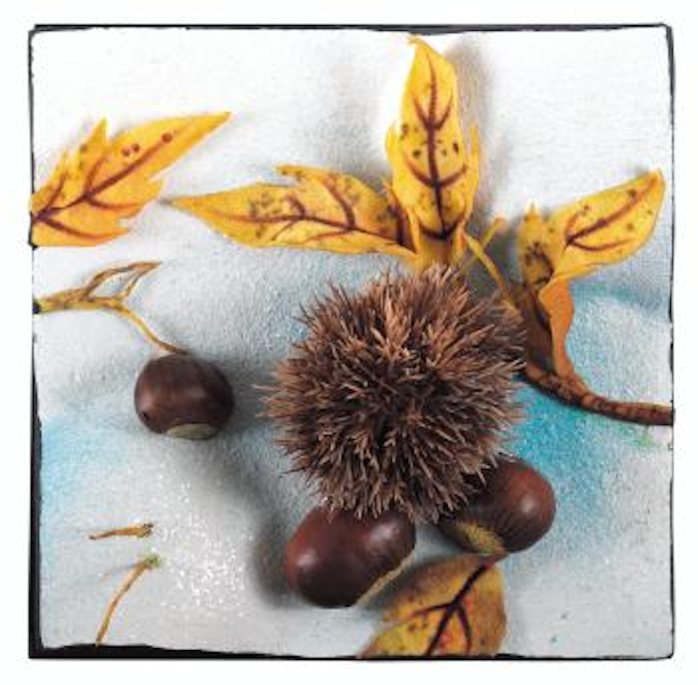 Castagne nella neve by Piero Gilardi