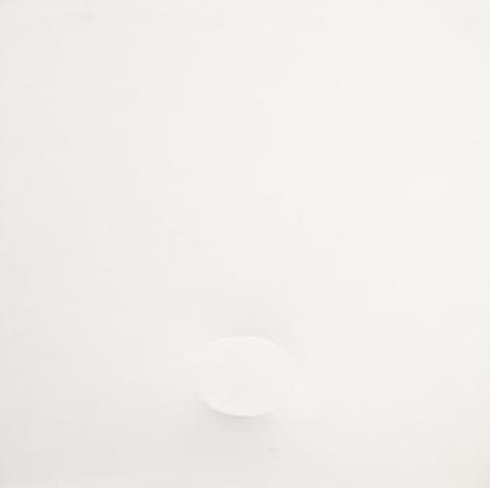 Un ovale bianco by Turi Simeti