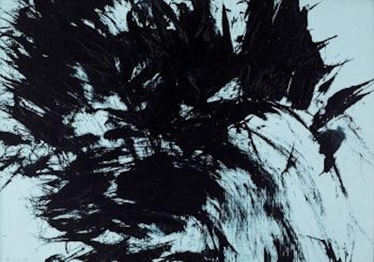 T 1980-H 28 by Hans Hartung