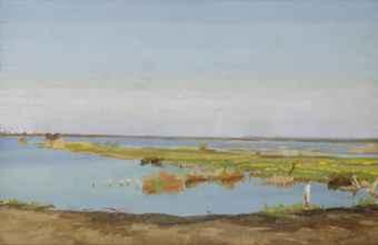 A view of the Loosdrechtse Plassen by Dirk Smoorenberg