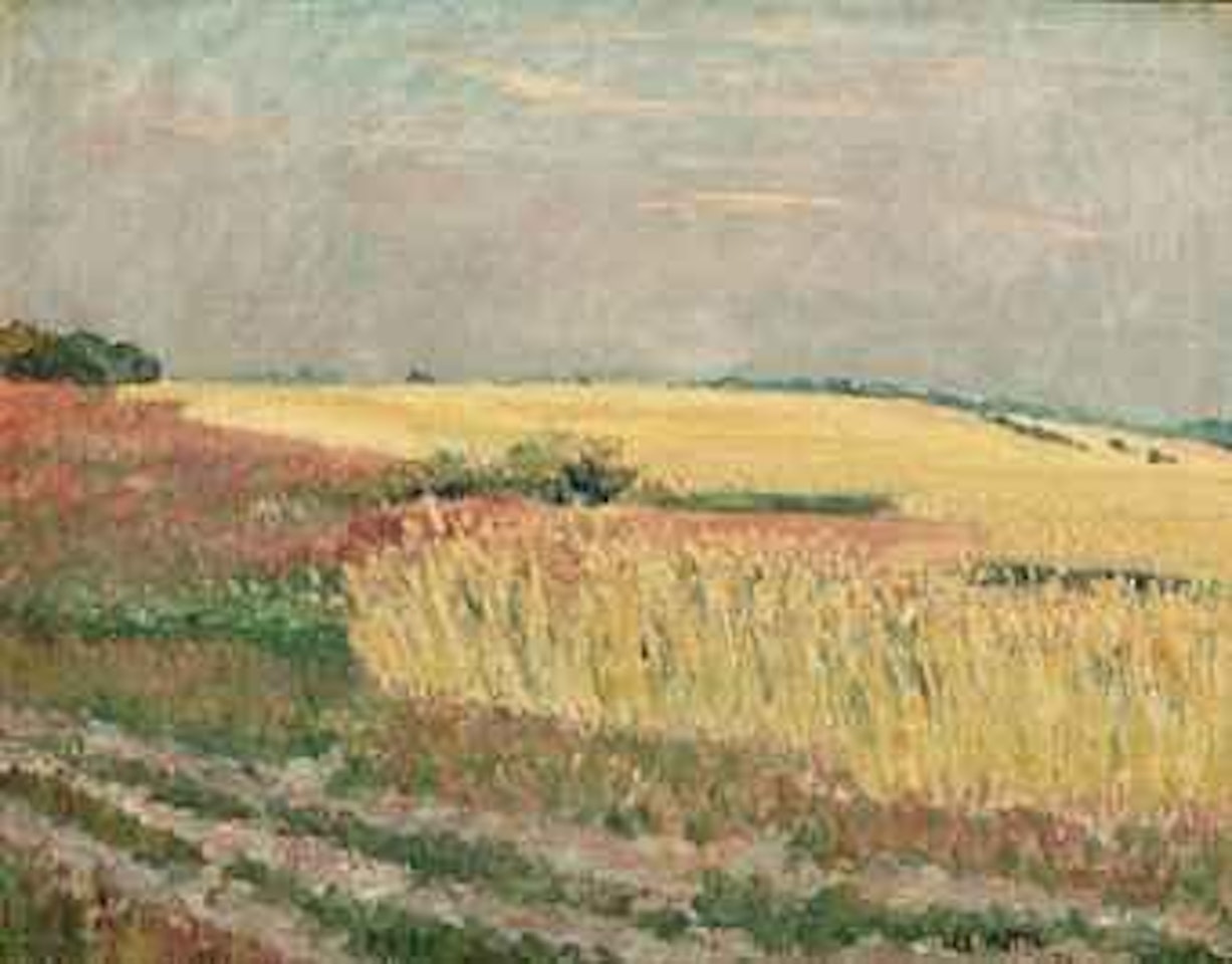 Corn field by Karel Appel