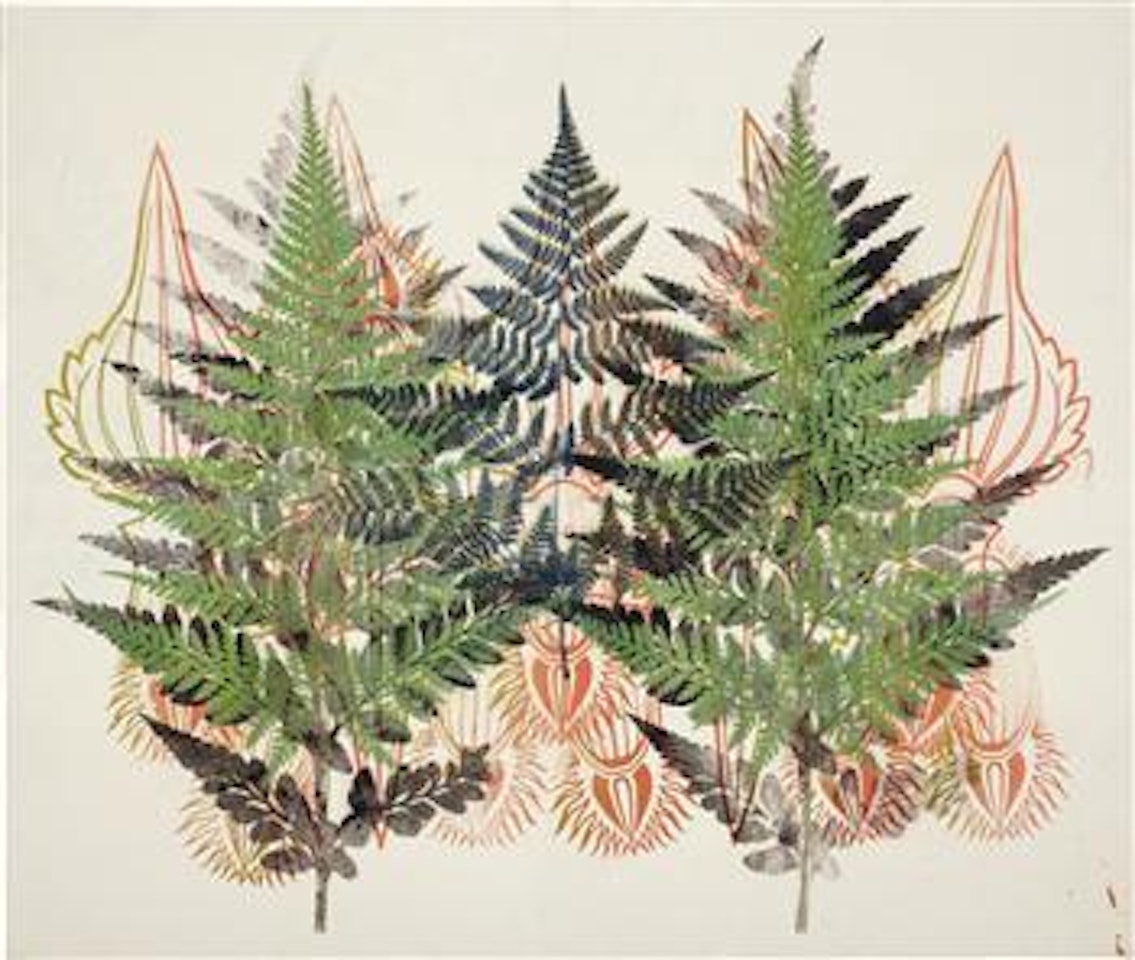 Asplenium Dicompositum by Philip Taaffe