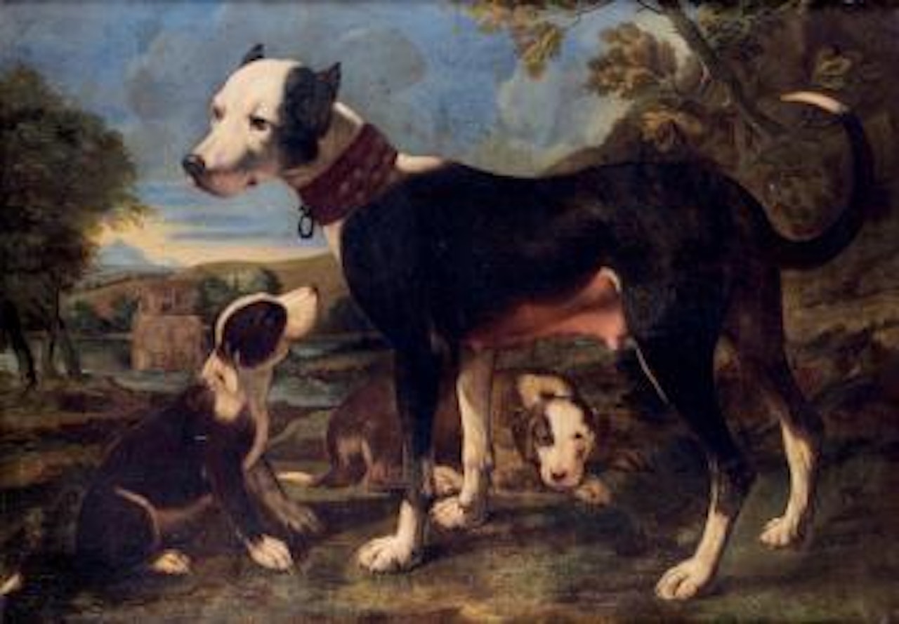 Une chienne et ses petits sur fond de paysage by Michele Pace del Campidoglio