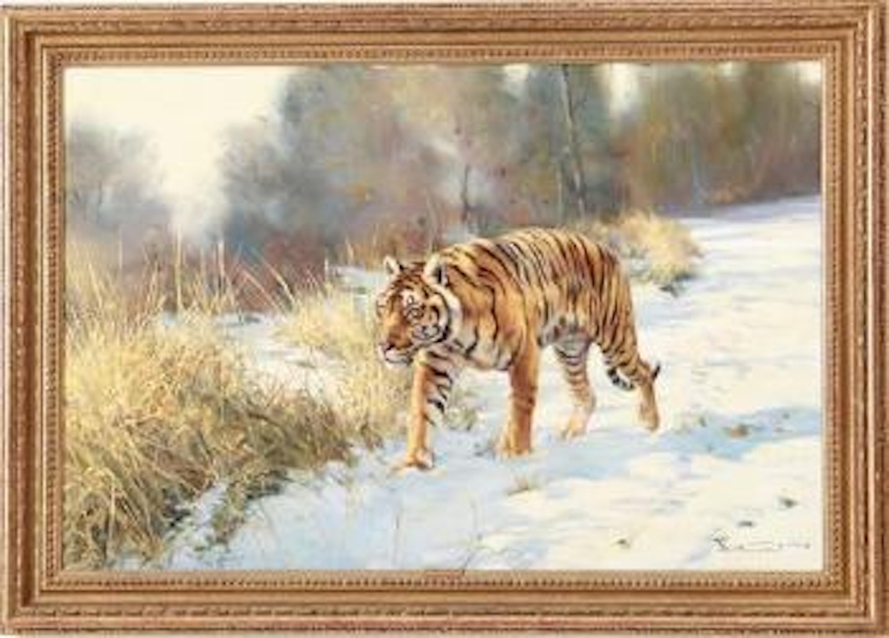 Tiger in nature by Donald Grant