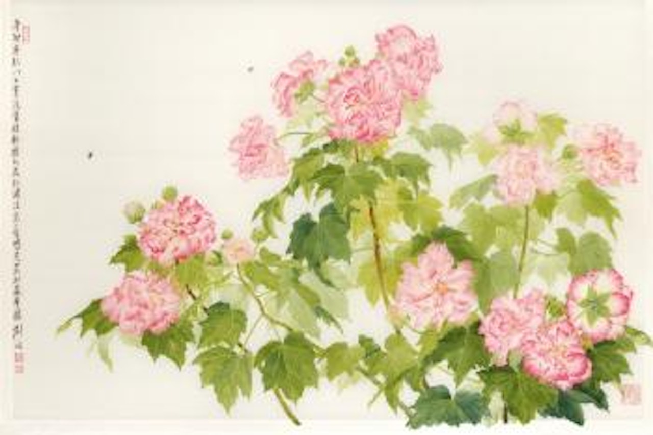 Cotton Rose Hibiscus by Liu Yong