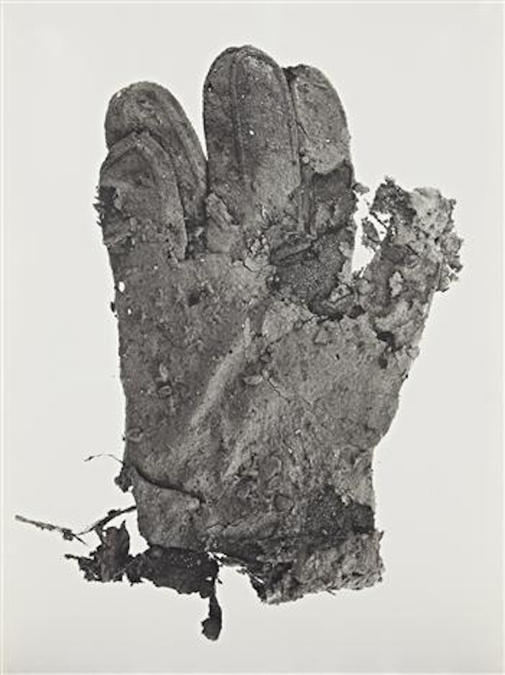 Mud Glove by Irving Penn