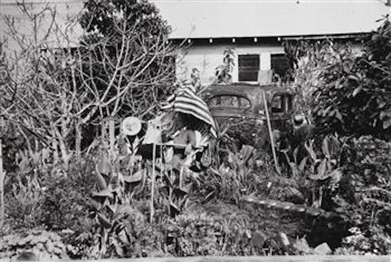 Backyard, Venice West, California by Robert Frank