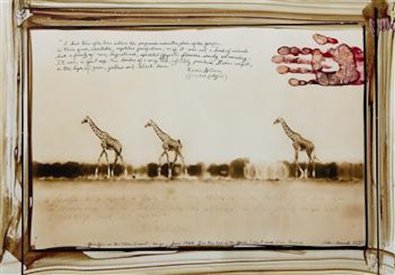 Giraffes on the Taru Desert, Kenya, June, 1960 by Peter Beard