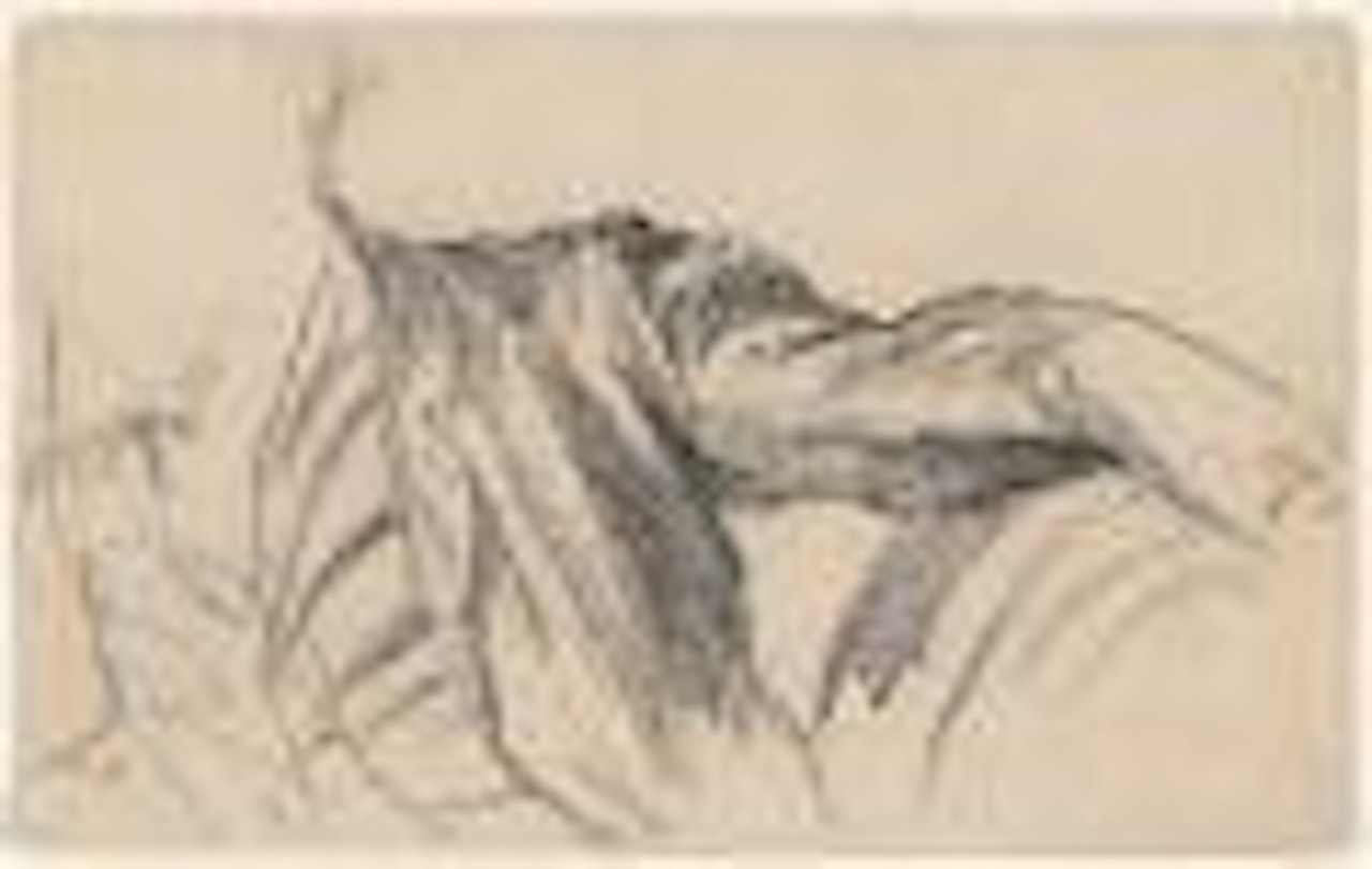 Studie der Schulter und des ausgestreckten linken Armes by Adolph Menzel