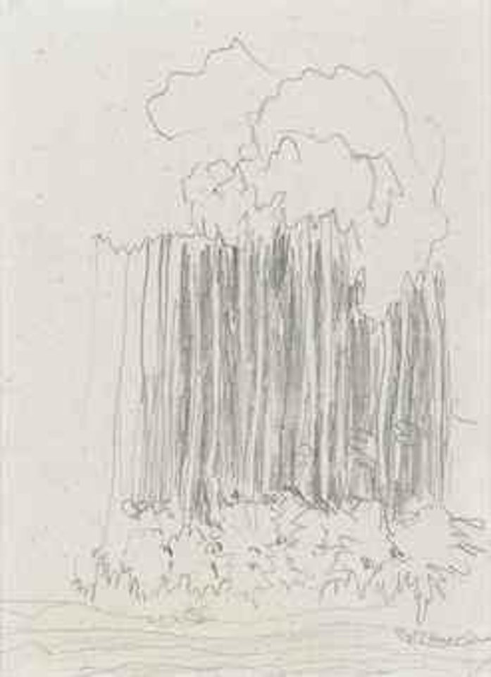 Groupe de pins by Pierre Bonnard