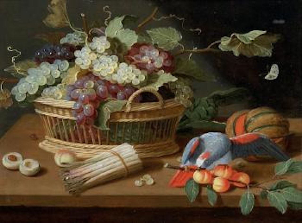 Corbeille de raisins, perroquets et branches d'abricots sur un entablement by Jan Van Kessel The Elder