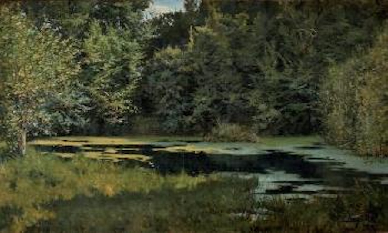 La mare en forêt by Leon Tanzi