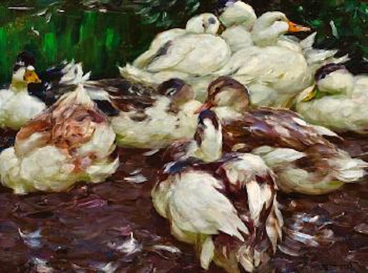 Enten by Alexander Koester