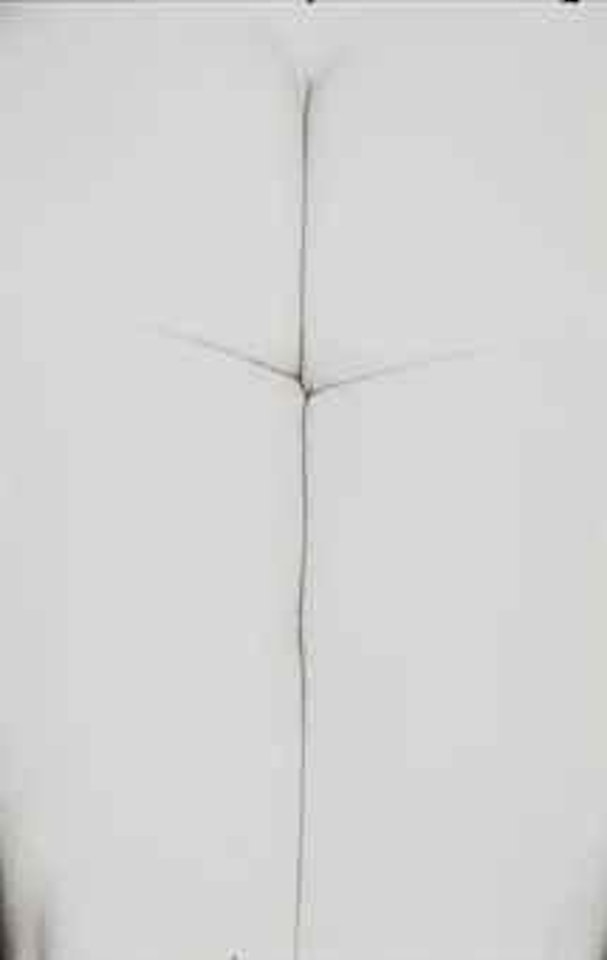 Eleanor by Harry Callahan
