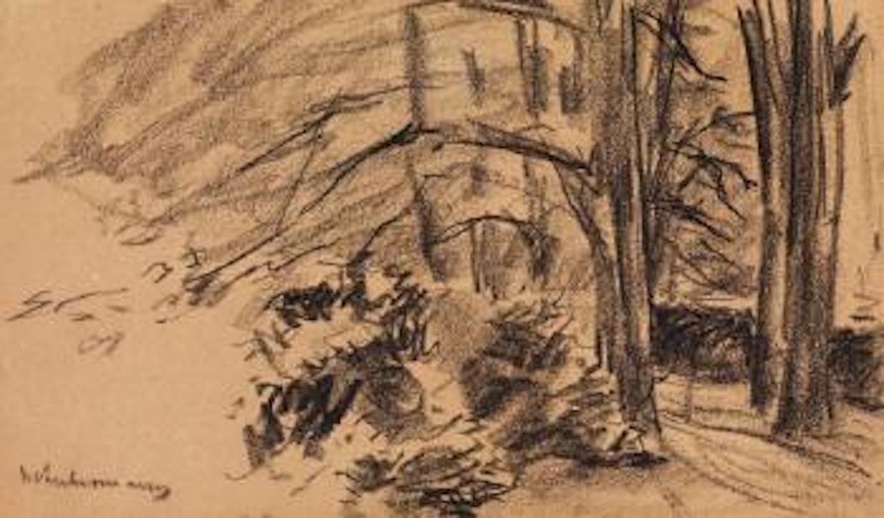 Park mit Rhododendron by Max Liebermann