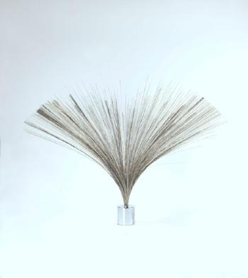 Ohne Titel by Harry Bertoia