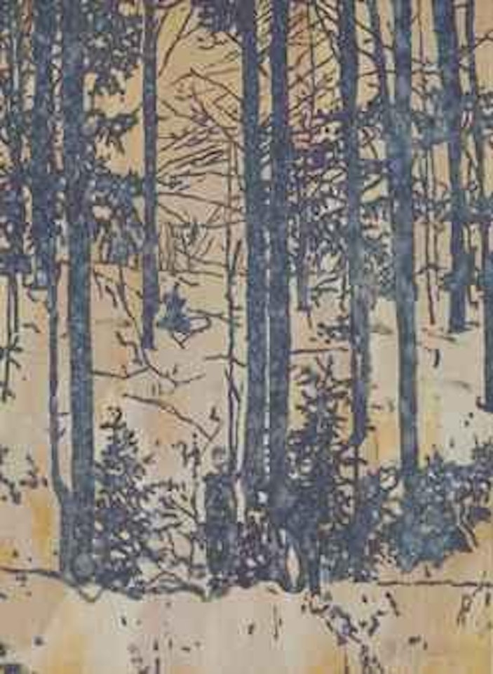 Figures in a wood by Peter Doig