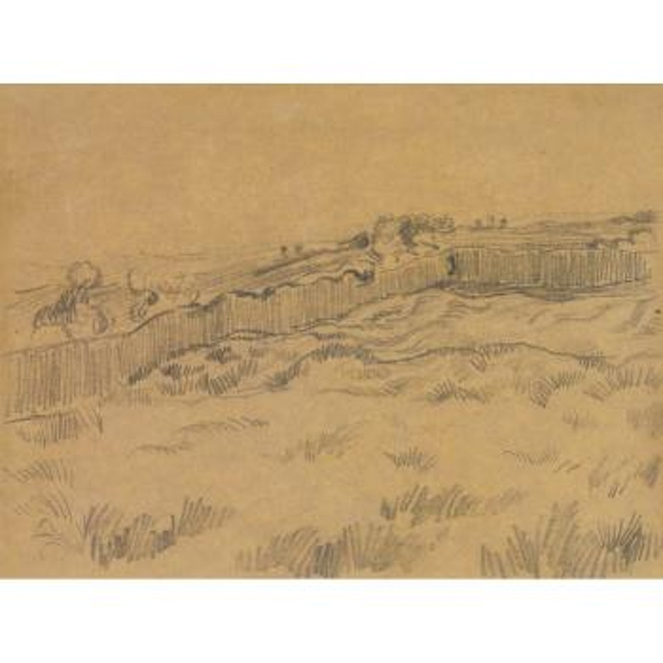 The Walled Wheatfield (Corner Of The Enclosure Behind Saint Paul's Hospital) by Vincent van Gogh