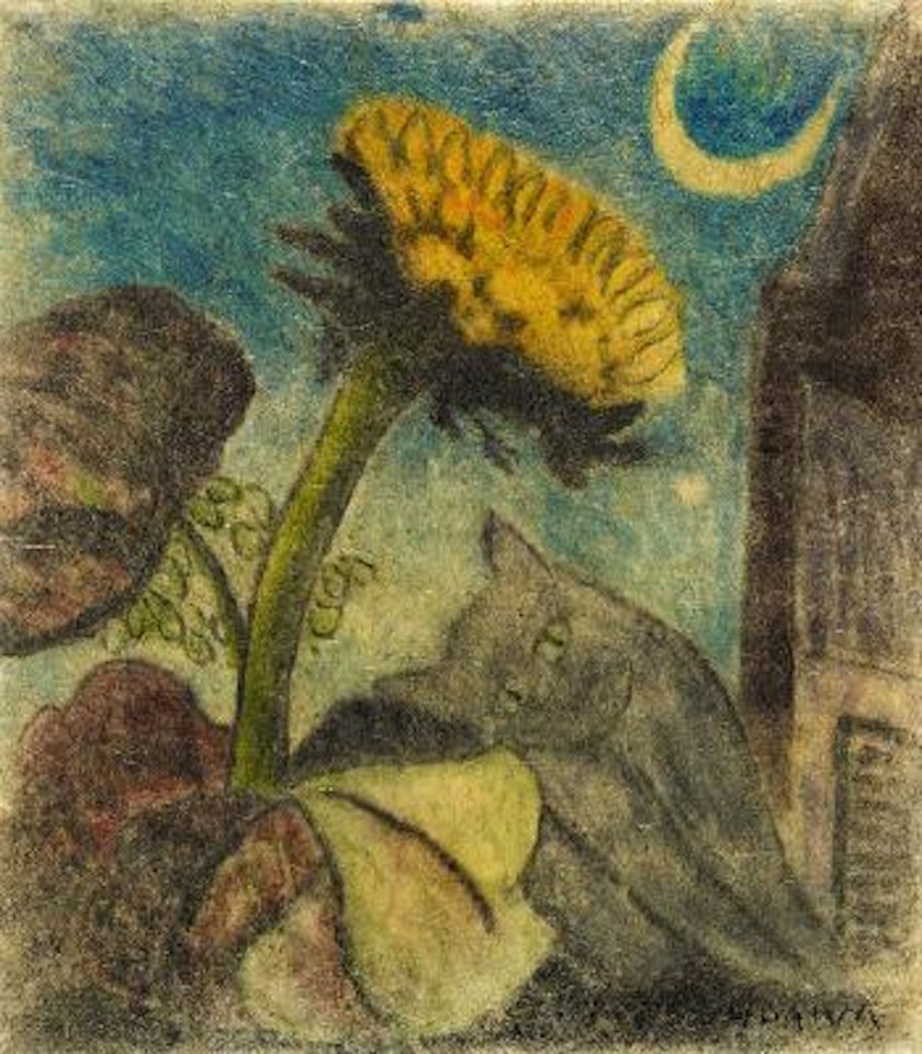 Nachtbild mit Sonnenblume und Katze by Helen Dahm