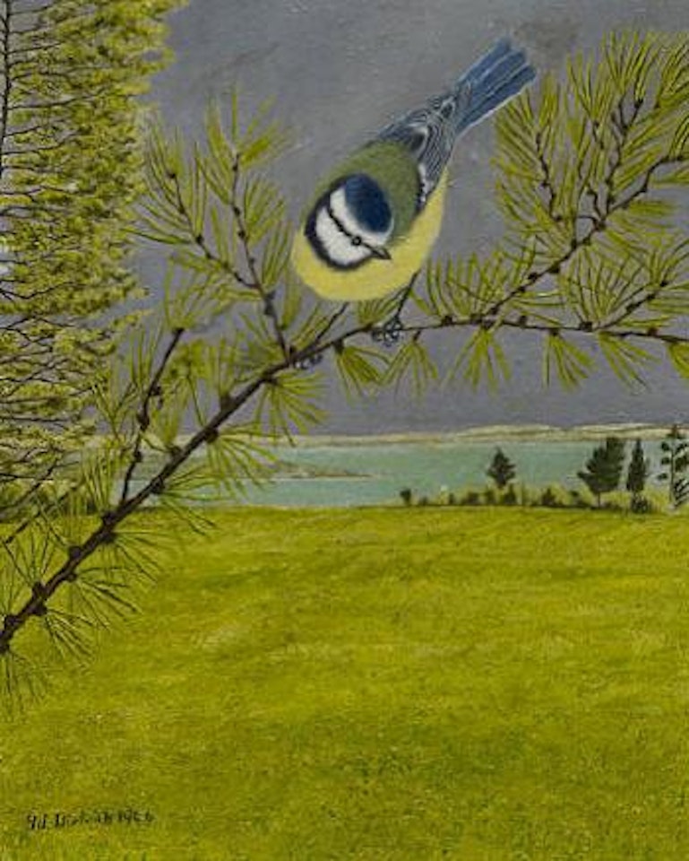 Blaumeise auf Lärchenzweig by Adolf Dietrich