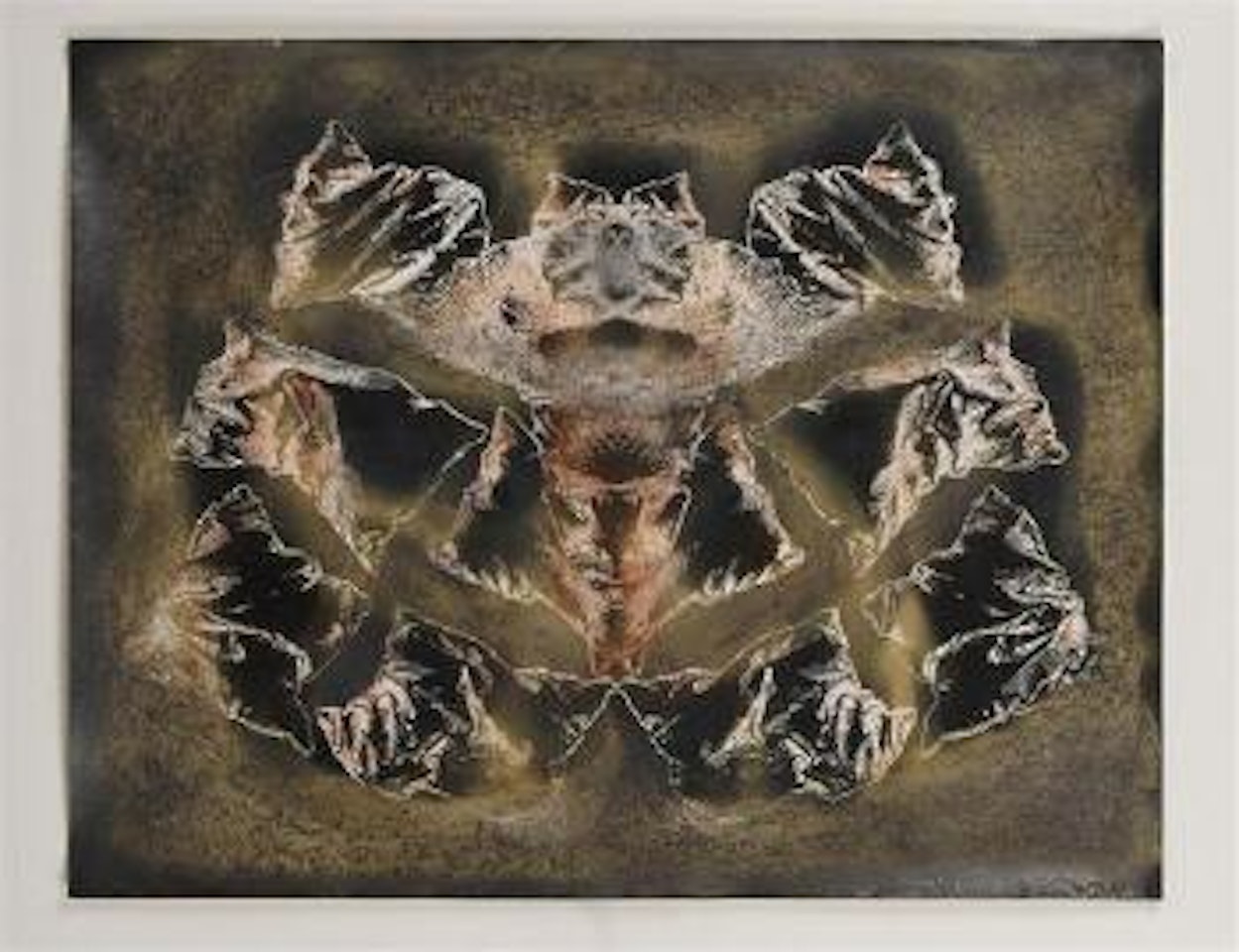 Almohadas de Durero I by Francisco Toledo