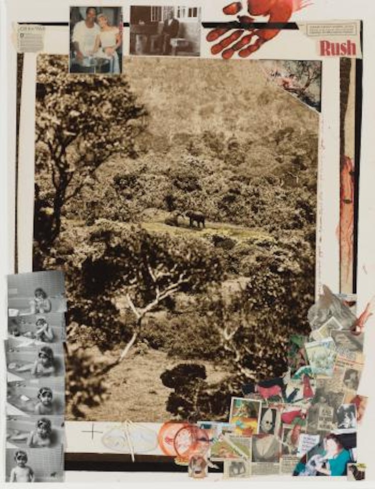 Lazy Elephant Fight, Aberdare Forest, 1972 --For The End Of The Game by Peter Beard