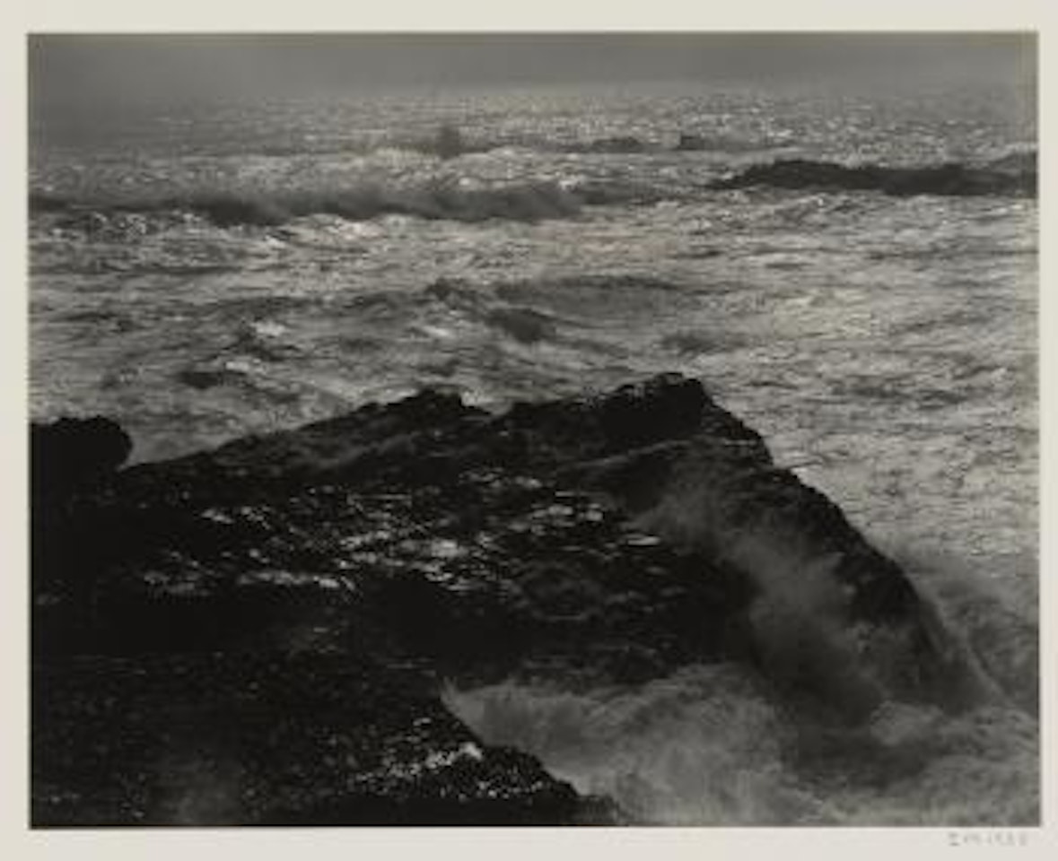 Selected Images by Edward Weston
