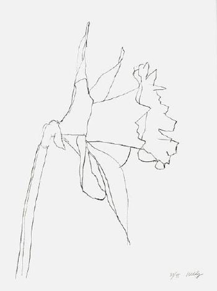 Daffodil (G.2013) by Ellsworth Kelly