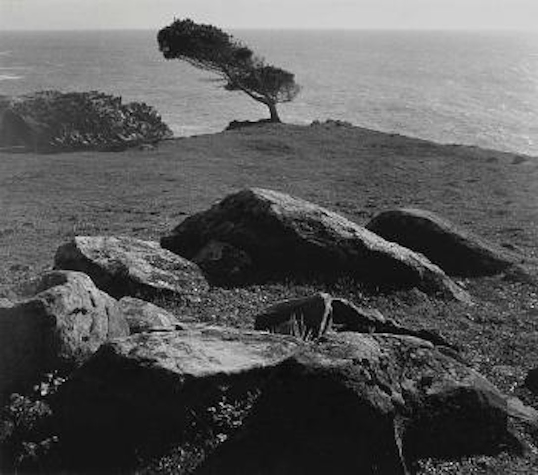 At Timber Cove, North Coast, California by Ansel Adams