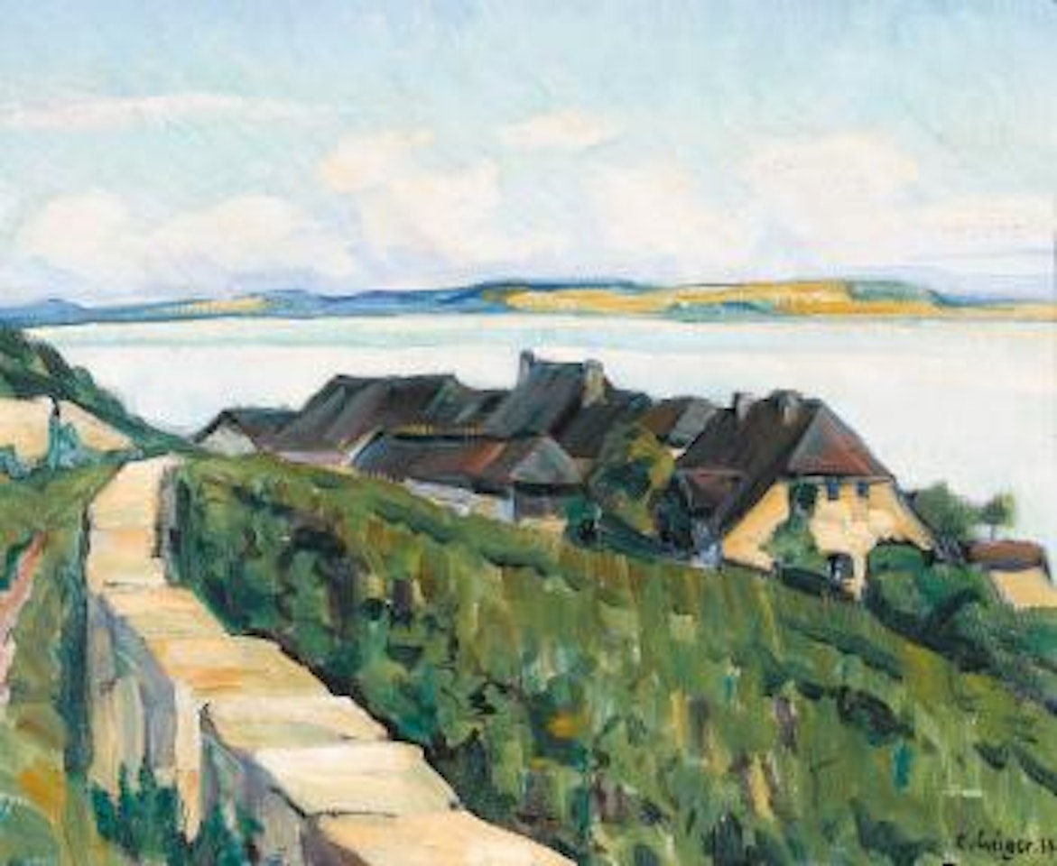 Weinberge am Bielersee. by Ernst Geiger
