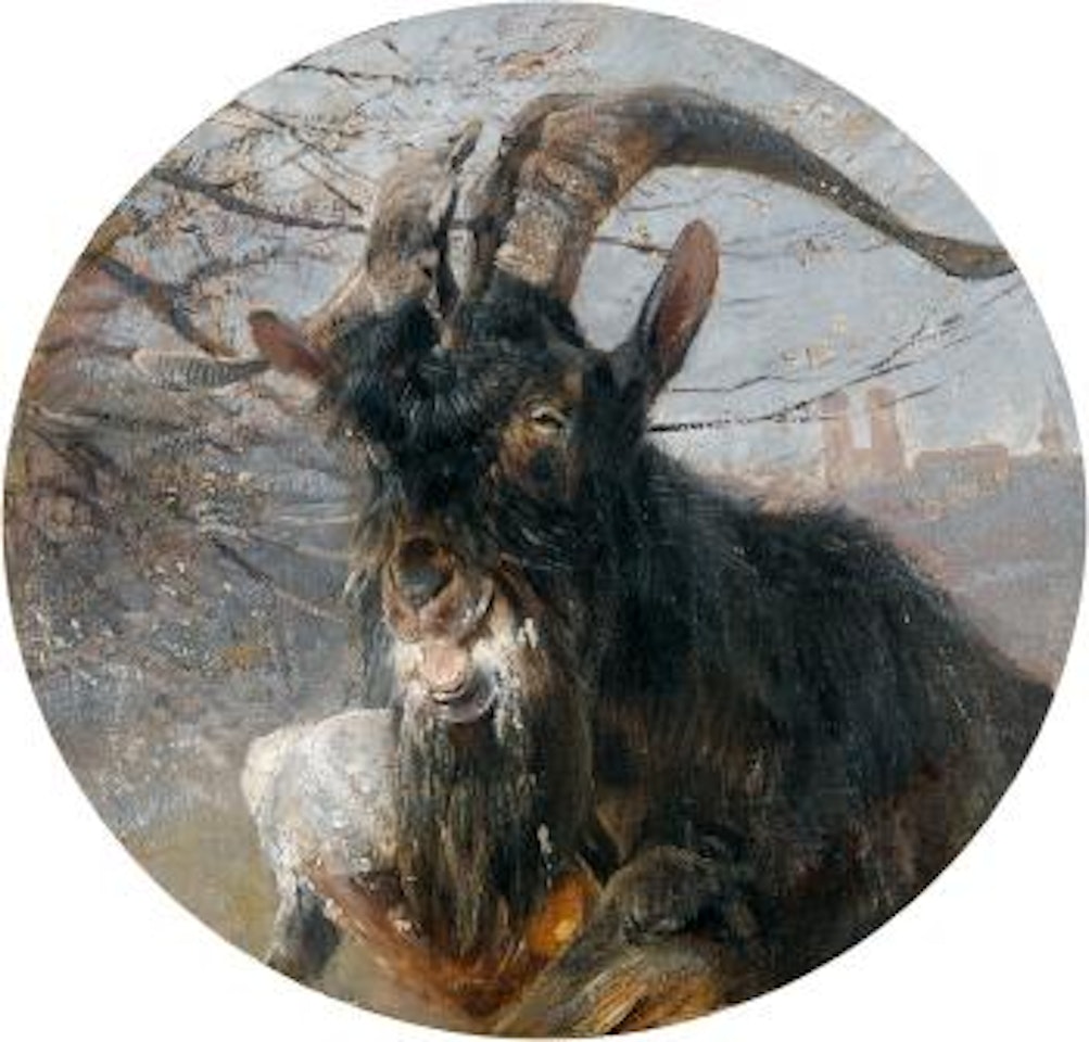 Die Ziege. by Heinrich von Zugel